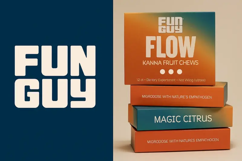Fun Guy: How Positivity, Humor, and Joy Transform Life, Work, and Brands