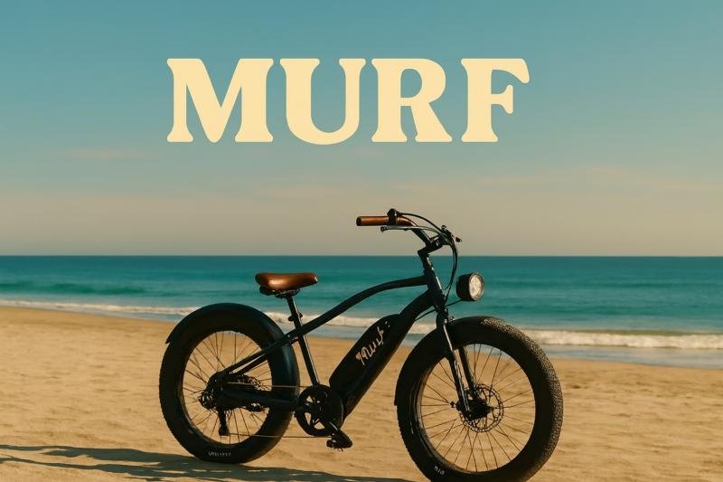 Murf Electric Bikes The main target market for this particular brand would